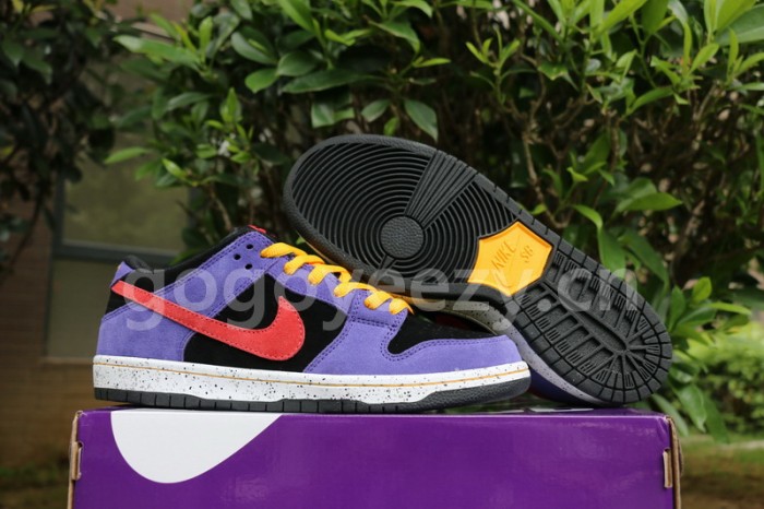 Authentic  Nike SB Dunk Low “ACG”