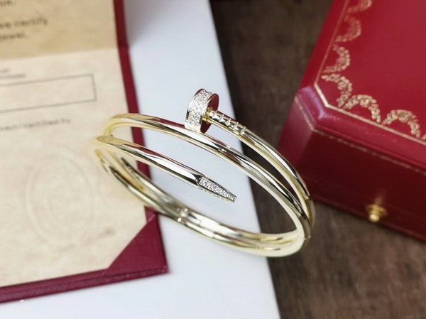 Cartier Bracelets-030