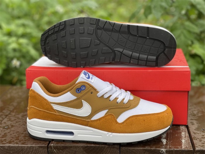 Authentic Atmos x Nike Air Max 1 “Curry”