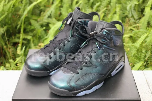 Authentic Air Jordan 6 “Chameleon”