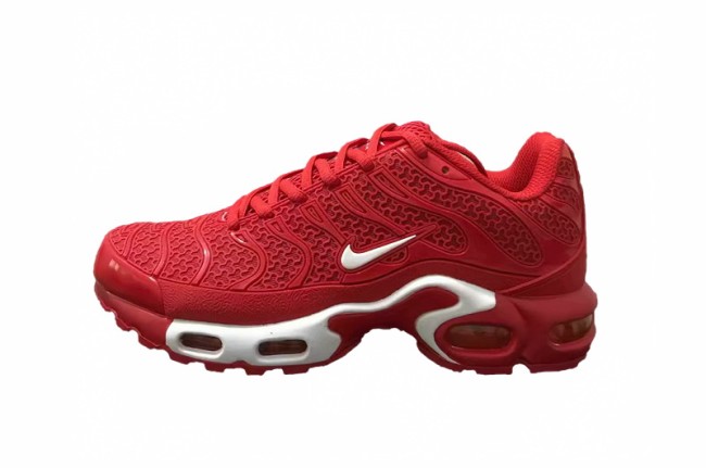 Nike Air Max TN Plus men shoes-568