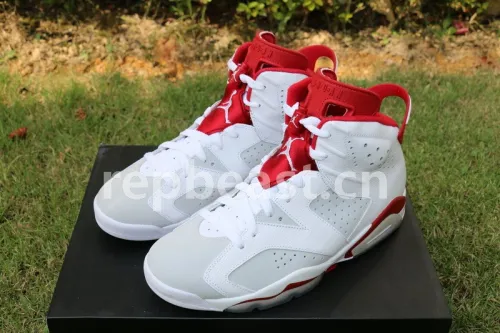 Authentic Air Jordan 6 Alternate