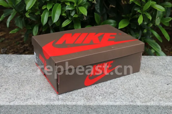 Authentic Travis Scott x Air Jordan 1 High OG TS SP