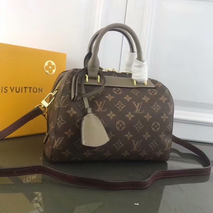 LV Hangbags AAA-273