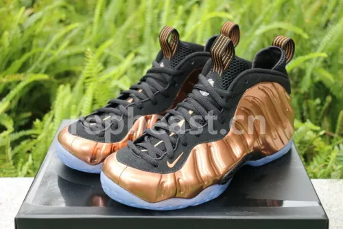 Authentic Nike Air Foamposite One “Copper”