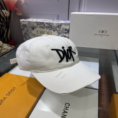 Dior Hats AAA-456