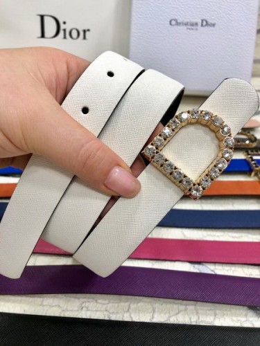 Super Perfect Quality Dior Belts(100% Genuine Leather,steel Buckle)-290