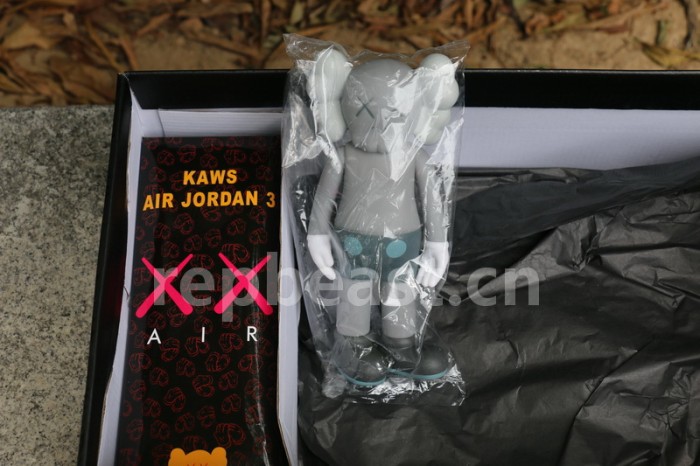 Authentic Air Jordan 3 Kaws