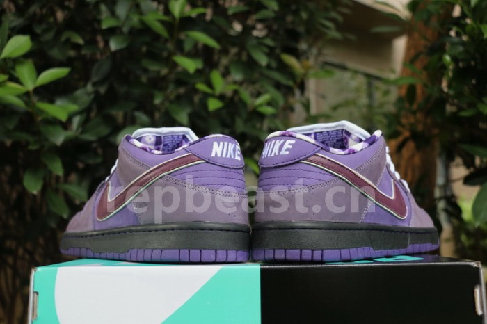 Authentic Nike Dunk SB Concepts Purple Lobster