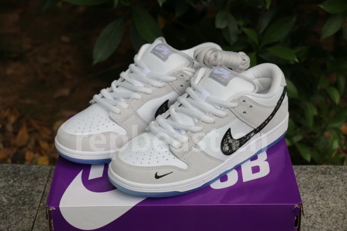 Authentic Dior x Nike Dunk Low SP