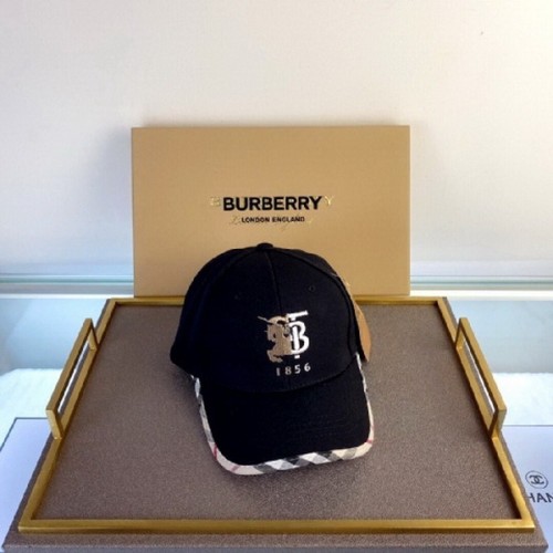Burrerry Hats AAA-269