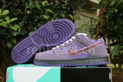 Authentic Nike Dunk SB Concepts Purple Lobster  Women Shoes