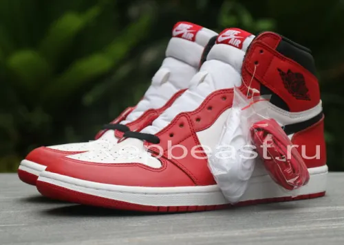Authentic Air Jordan 1 Retro GS Chicago