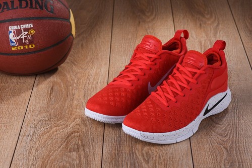 Nike LeBron James 2.5 shoes-010
