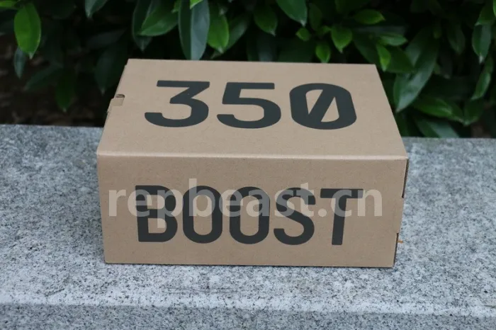 Authentic Yeezy Boost 350 V2 Static Kids Shoes