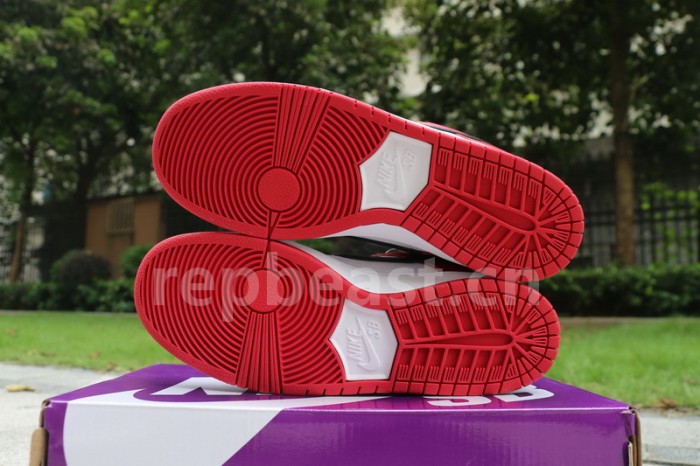 Authentic Nike Dunk SB Low “Chicago”