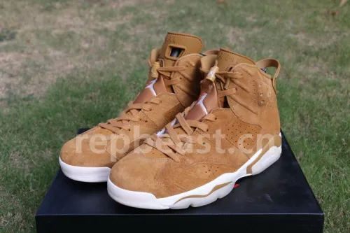 Authentic Air Jordan 6 “Golden Harvest”