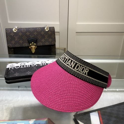 Dior Hats AAA-544