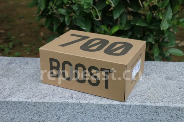 Authentic Yeezy 700 “Salt”