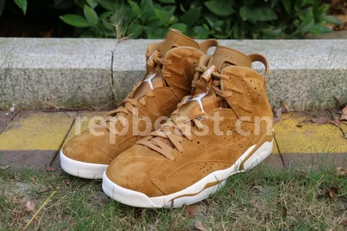 Authentic Air Jordan 6 “Golden Harvest”
