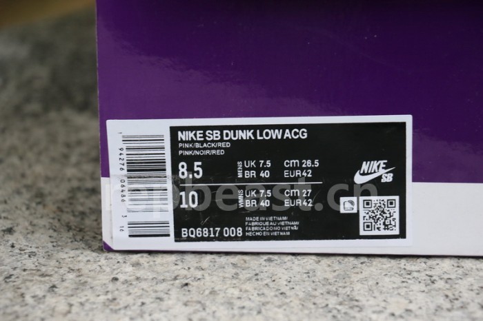 Authentic  Nike SB Dunk Low “ACG”