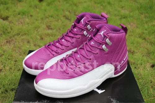 Authenitc Air Jordan 12 Kevin Martin