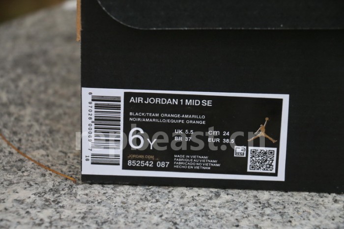 Authentic Air Jordan 1 Mid “Raygun”