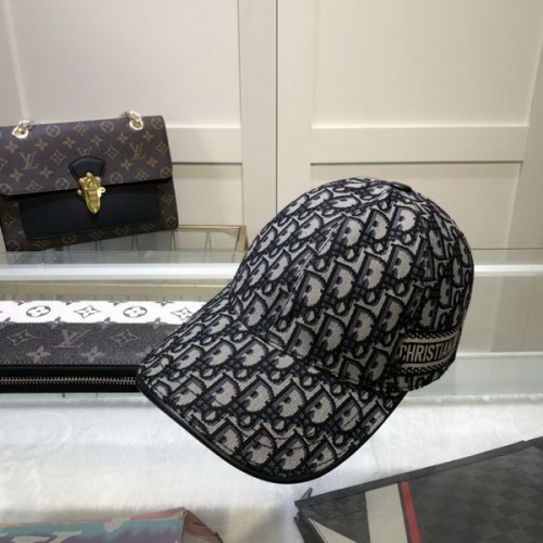Dior Hats AAA-418