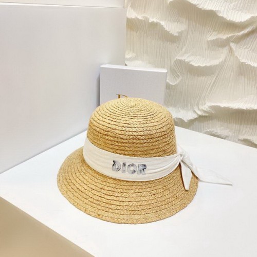 Dior Hats AAA-489