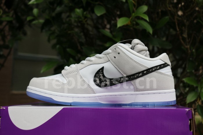 Authentic Dior x Nike Dunk Low SP