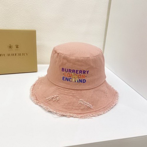 Burrerry Hats AAA-319