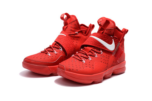 Nike LeBron James 14 shoes-003