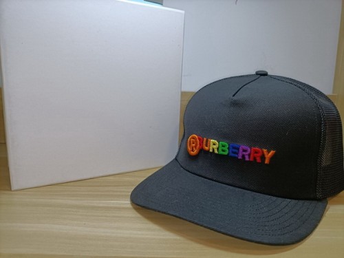Burrerry Hats AAA-370
