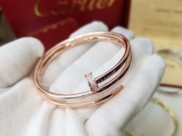 Cartier Bracelets-031