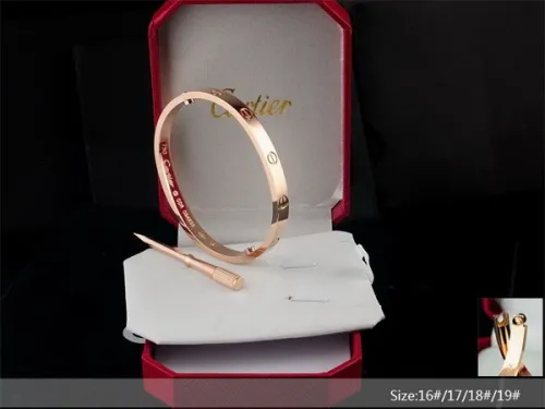 Cartier Bracelets-058