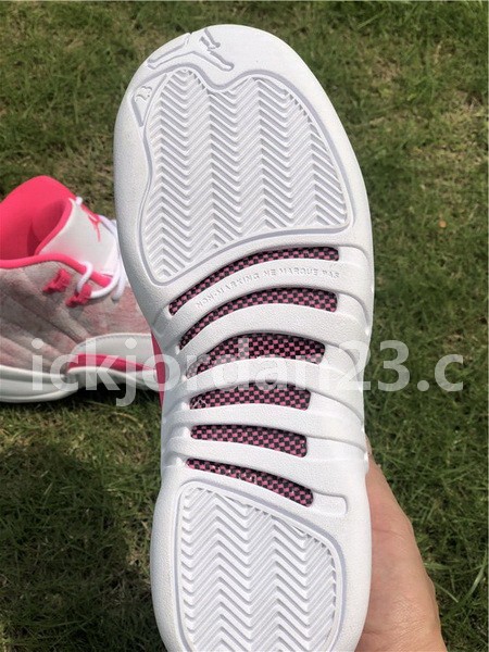 Authentic Air Jordan 12 GS “Arctic Punch”
