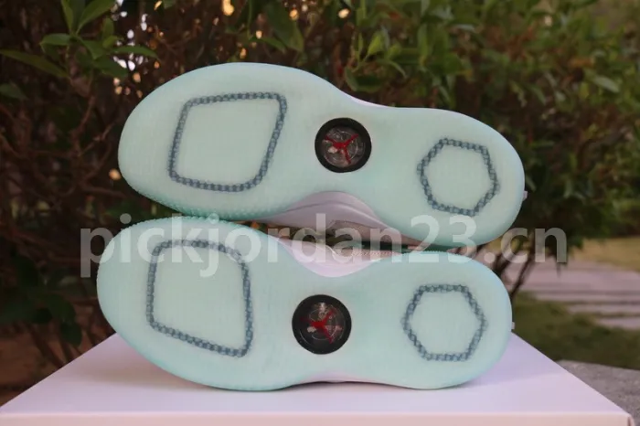 Authentic Air Jordan 33 BV5072 101