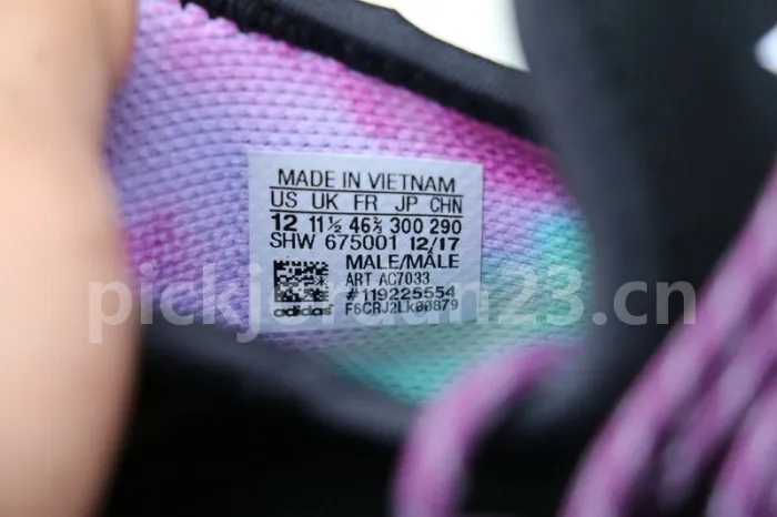 Authentic Pharrell x AD NMD Hu Trail “Equality” Holi