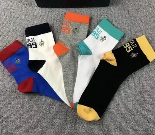 POLO Socks-008