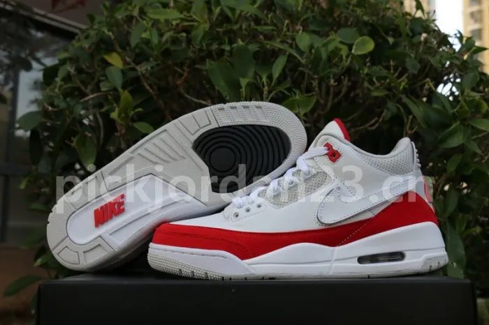 Authentic Air Jordan 3 Tinker “Air Max 1”