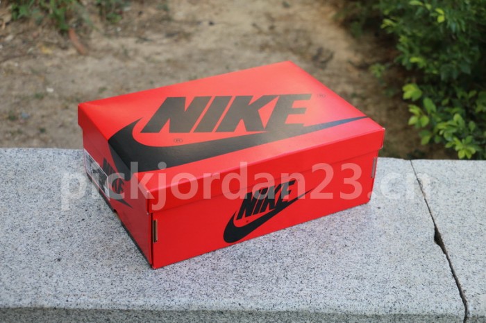 Authentic Facetasm x Air Jordan 1 Mid “Fearless”