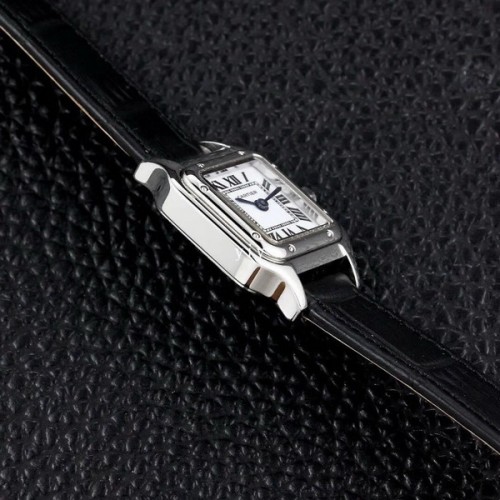 Cartier Watches-482