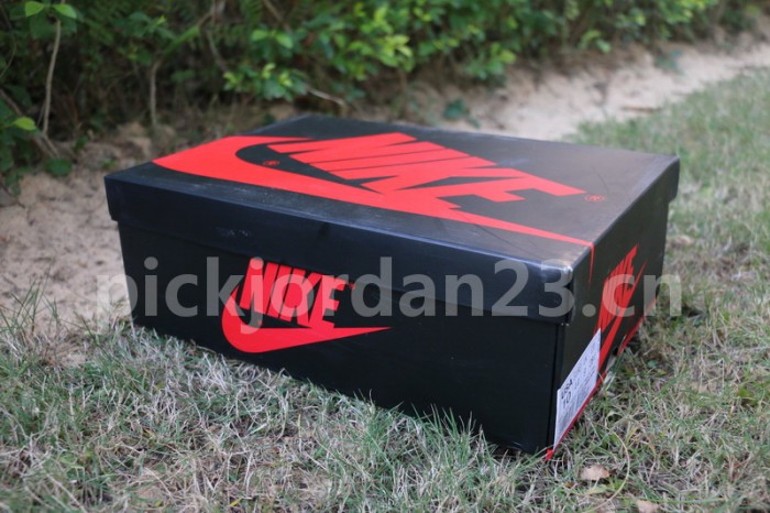 Authentic Air Jordan 1 OG Blue Moon