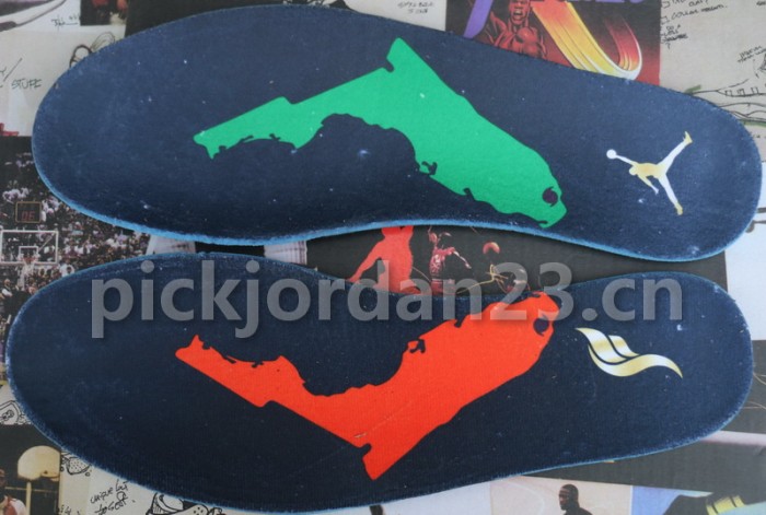 Authentic Solyfly x Air Jordan 1 Green