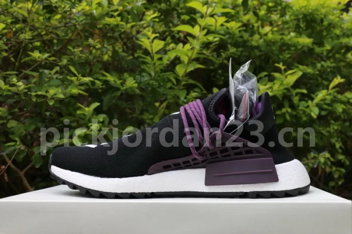 Authentic Pharrell x AD NMD Hu Trail “Equality” Holi