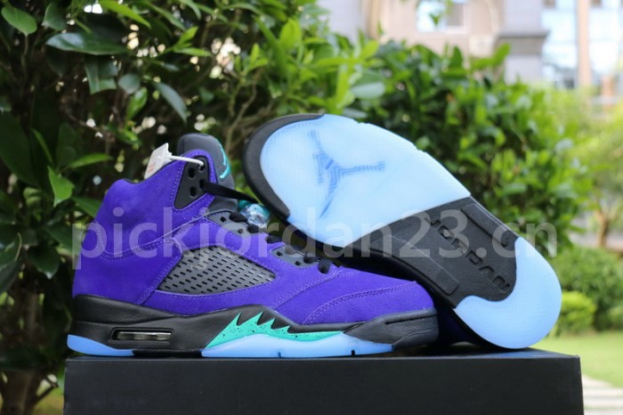 Authentic  Air Jordan 5 “Alternate Grape”