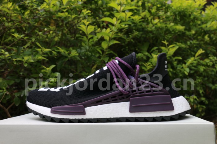 Authentic Pharrell x AD NMD Hu Trail “Equality” Holi