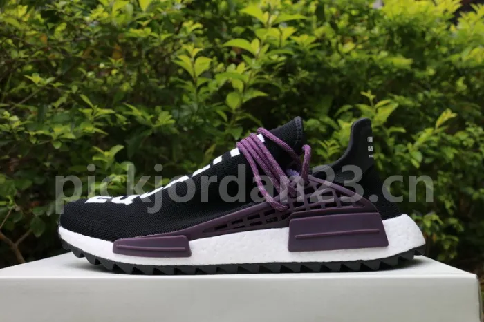 Authentic Pharrell x AD NMD Hu Trail “Equality” Holi