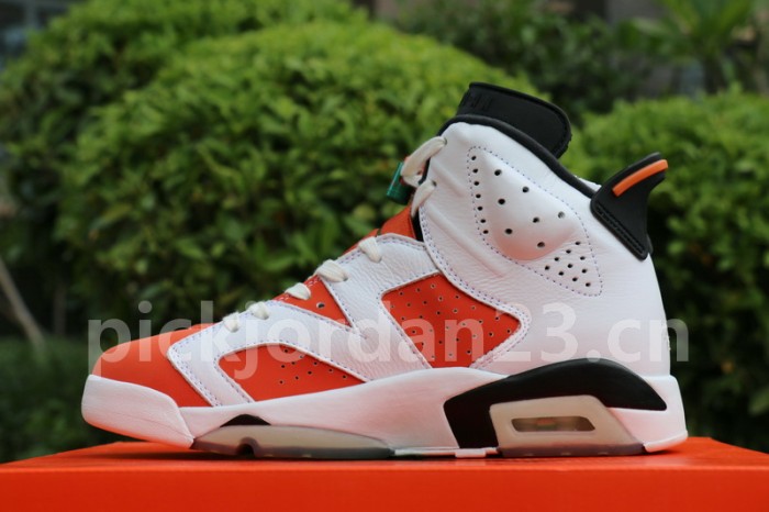 Authentic Air Jordan 6 “Gatorade”