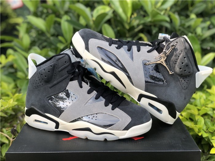 Authentic Air Jordan 6 WMNS “Smoke Grey”